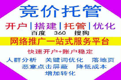 百度竞价推广的技巧与策略：某企业成功案例分享